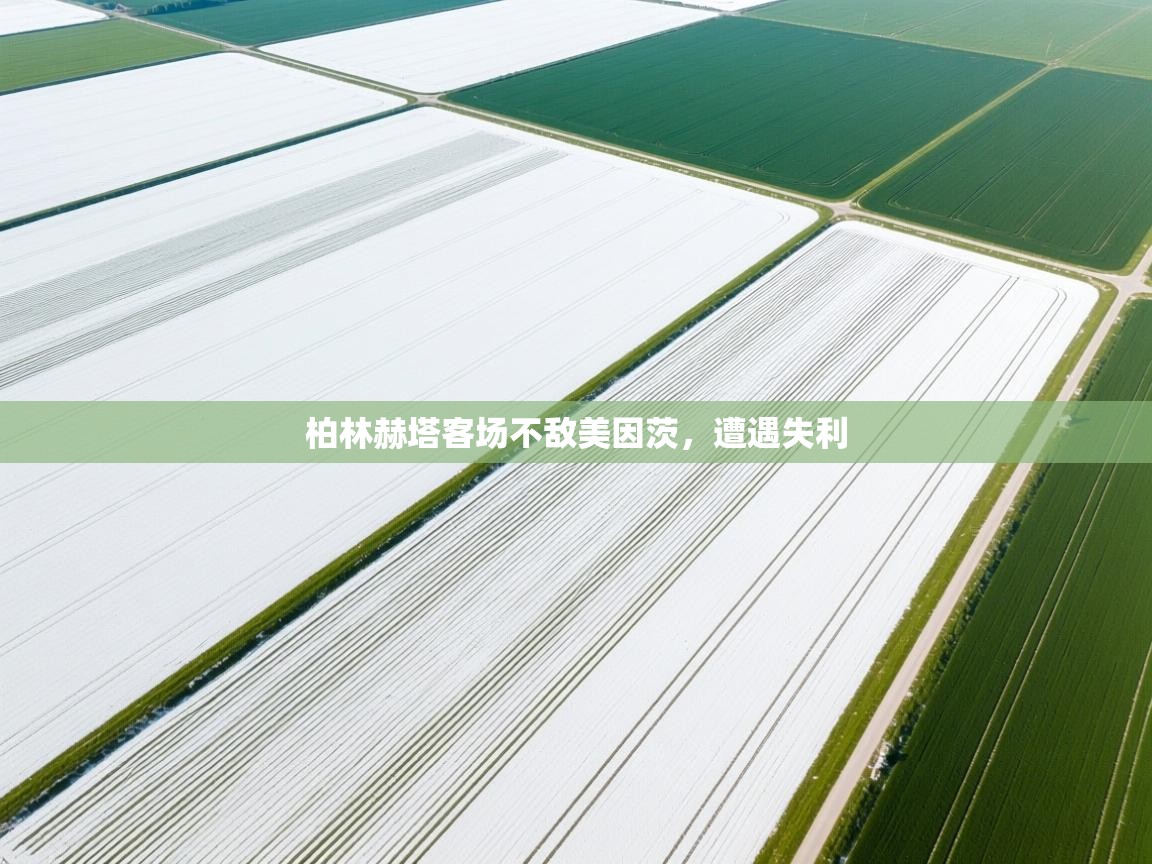 柏林赫塔客场不敌美因茨，遭遇失利  第2张