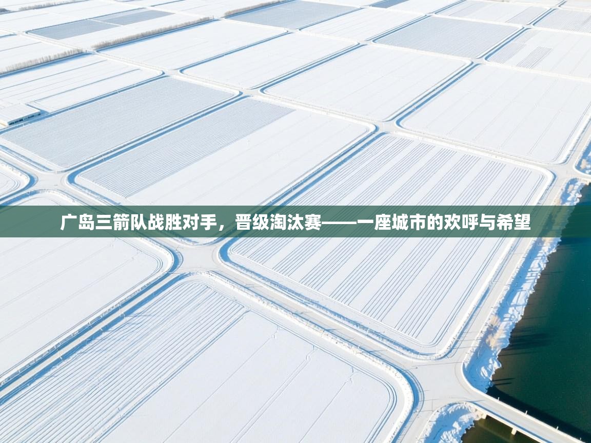 广岛三箭队战胜对手，晋级淘汰赛——一座城市的欢呼与希望  第1张