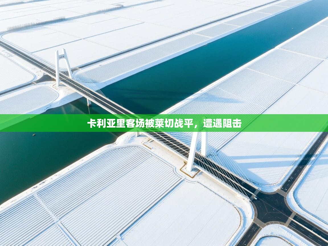 卡利亚里客场被莱切战平，遭遇阻击